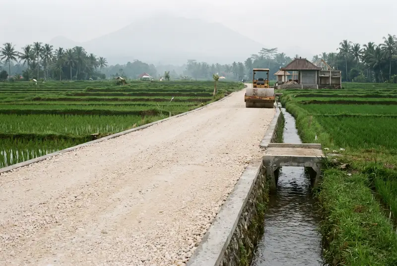 Compacted limestone access road leading through rice fields to a Bali building site
